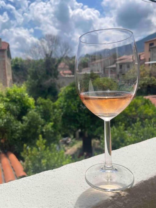 Appartement Neuf, Grande Terrasse Plein Sud Laroque-des-Albères Exterior foto